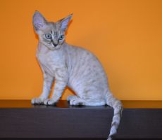 DSC_0054.JPG