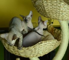 Elinky_0397.JPG