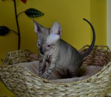 Elvira_0102_0001.JPG