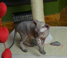 Elvira_0295_0001.JPG