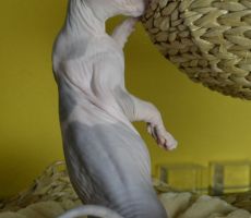 Ester_0272.JPG
