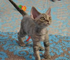 Gabriela_0151.JPG