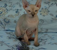 Helena_0157.JPG