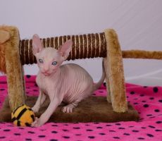 Ester_0410.JPG
