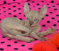 Elvira_0460(2)_0001.JPG