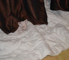 DSC_0104.jpg