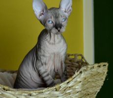 Elvira_0128_0001.JPG