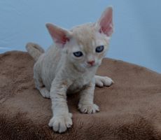 FiBi_0580.JPG
