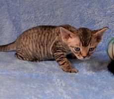 princ_0159.JPG