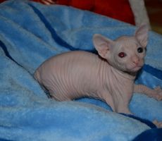 DSC_0020.JPG