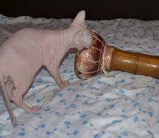DSC_0023.jpg