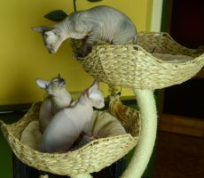 Elinky_0395.JPG