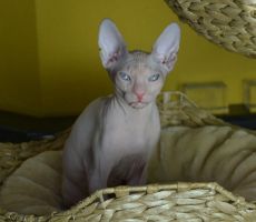 Ester_0284.JPG