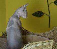 Ester_0264.JPG