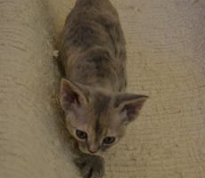 Xanthe_6_0001.JPG