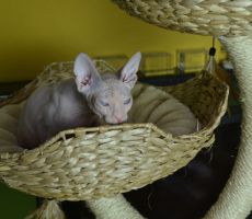 Ester_0282.JPG