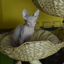Ester_I_0279.JPG