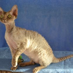 Bettyna0575.JPG