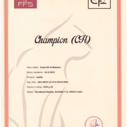 Champion_Bettynka_zmen.jpg