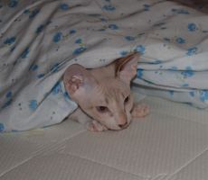 DSC_0080.jpg
