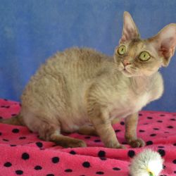 Bettyna0541.JPG