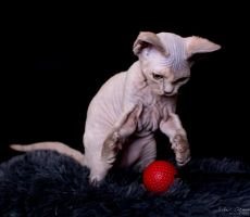 Dasha_8110_0001.jpg