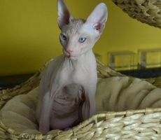 Ester_0285.JPG