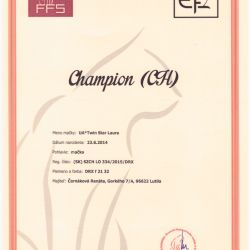 Susanna_champion_diplom_zmen.jpg