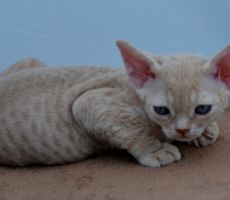 FiBi_0635.JPG