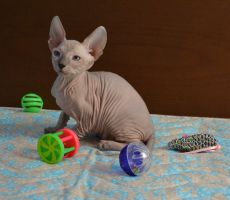 Helena_0271.JPG