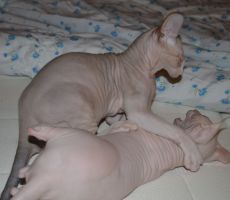 DSC_0095.jpg