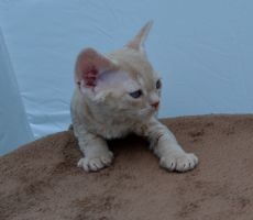 FiBi_0602.JPG