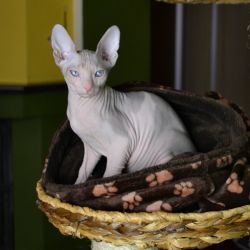 Ester_0256.JPG