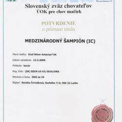 Kópia – ICSilver.jpg