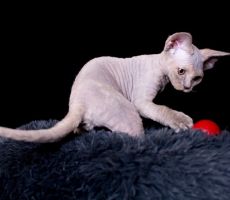Dasha_8106.jpg